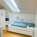 Magnifique Maison Avec Vue Sur Leman 別荘 *