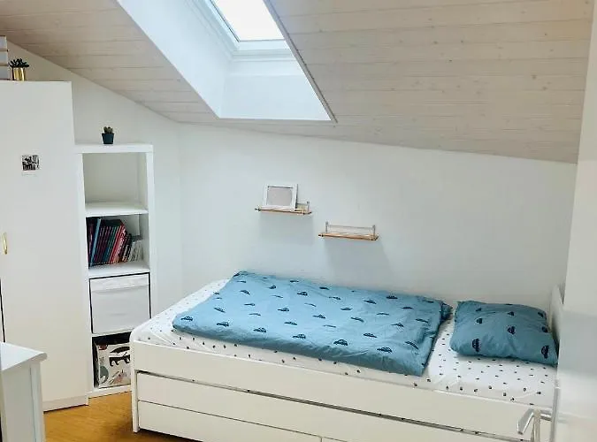 Magnifique Maison Avec Vue Sur Leman 別荘 *