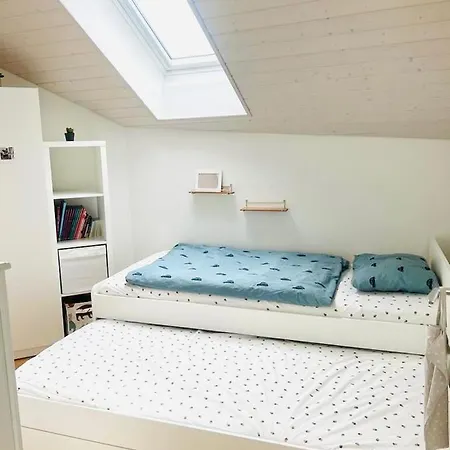 Magnifique Maison Avec Vue Sur Leman * Saint-Legier-La Chiesaz